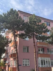 whatsapp image 2025 11 07 at 13.56.30 (6)