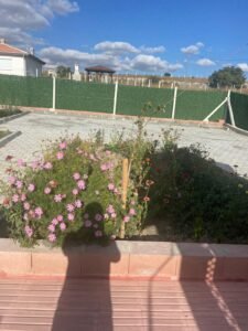 whatsapp image 2025 11 12 at 11.49.10 (6)