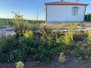 whatsapp image 2025 11 12 at 11.49.11 (3)