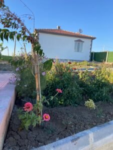 whatsapp image 2025 11 12 at 11.49.11 (4)