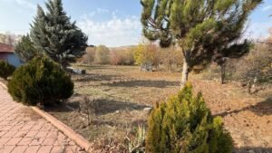 whatsapp image 2025 11 12 at 12.18.39 (1)