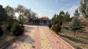 whatsapp image 2025 11 12 at 12.18.39 (2)