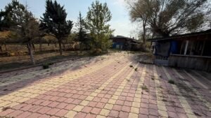 whatsapp image 2025 11 12 at 12.18.39 (3)