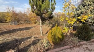 whatsapp image 2025 11 12 at 12.18.39