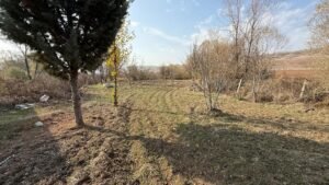 whatsapp image 2025 11 12 at 12.18.39 (4)