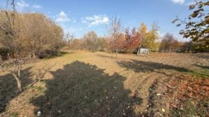 whatsapp image 2025 11 12 at 12.18.39 (5)