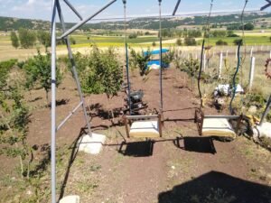 whatsapp image 2025 11 20 at 14.26.48 (2)