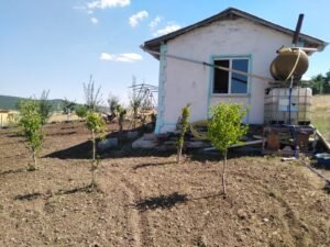 whatsapp image 2025 11 20 at 14.26.48