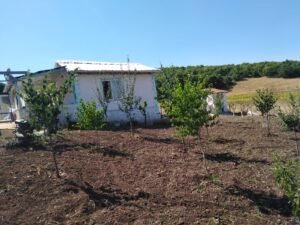 whatsapp image 2025 11 20 at 14.26.49 (1)