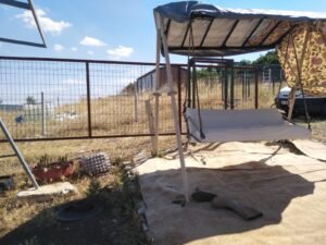 whatsapp image 2025 11 20 at 14.26.49 (2)