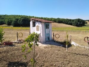 whatsapp image 2025 11 20 at 14.26.50