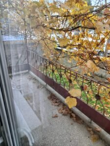 whatsapp image 2025 11 25 at 13.54.13