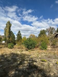 whatsapp image 2025 11 28 at 12.14.14 (1)