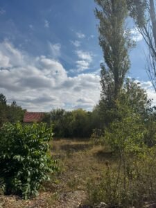 whatsapp image 2025 11 28 at 12.14.14 (2)