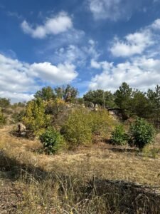 whatsapp image 2025 11 28 at 12.14.14