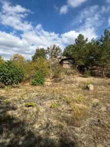 whatsapp image 2025 11 28 at 12.14.15 (1)