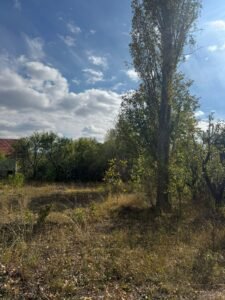 whatsapp image 2025 11 28 at 12.14.15