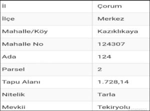 whatsapp image 2025 11 28 at 14.35.19 (2)