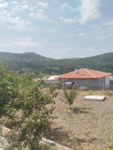 whatsapp image 2025 11 28 at 15.12.40 (4)